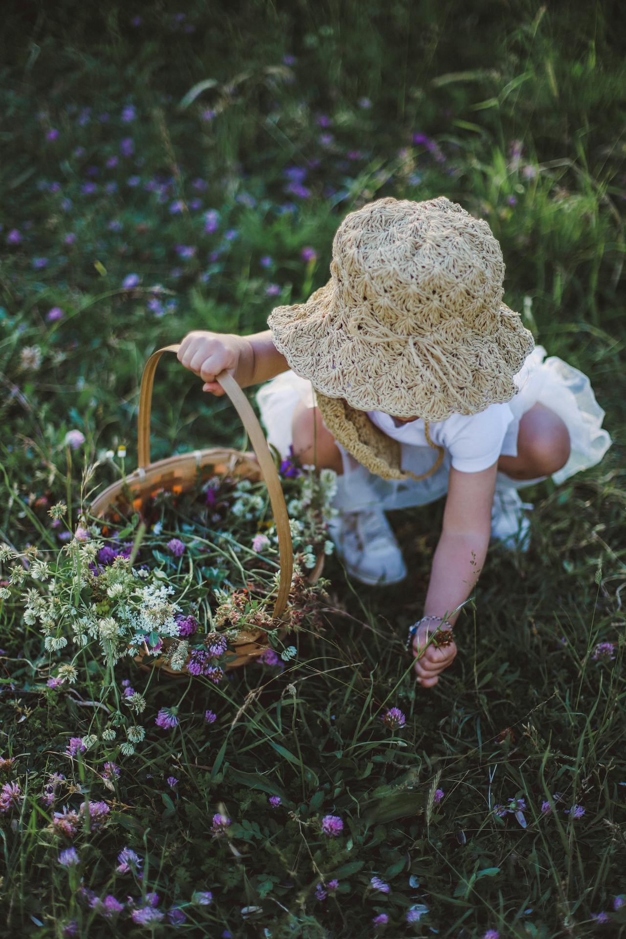 Enfant cueillant des fleurs dans un panier, symbole de curiosité du vivant et de regard émerveillé sur la vie.